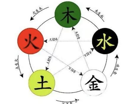 棕色五行|棕色五行属什么